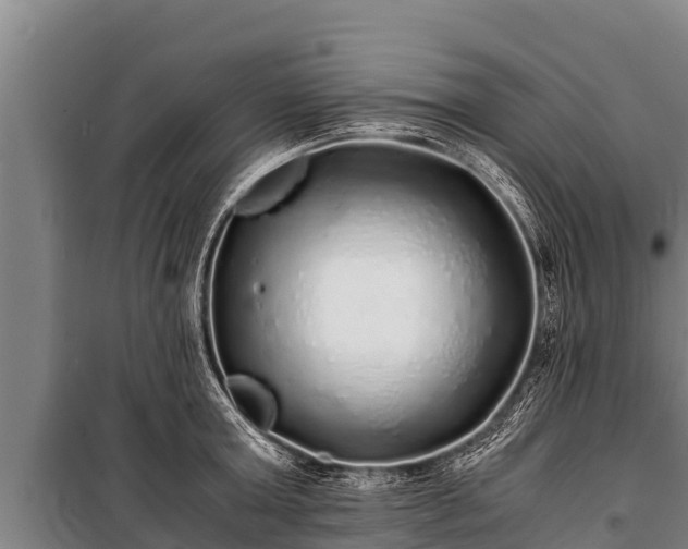 X0000100850803200806271134