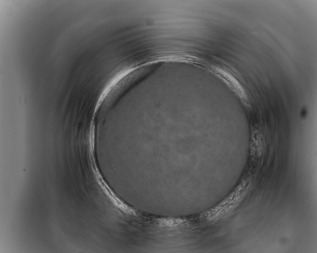 X0000100850804200806271134