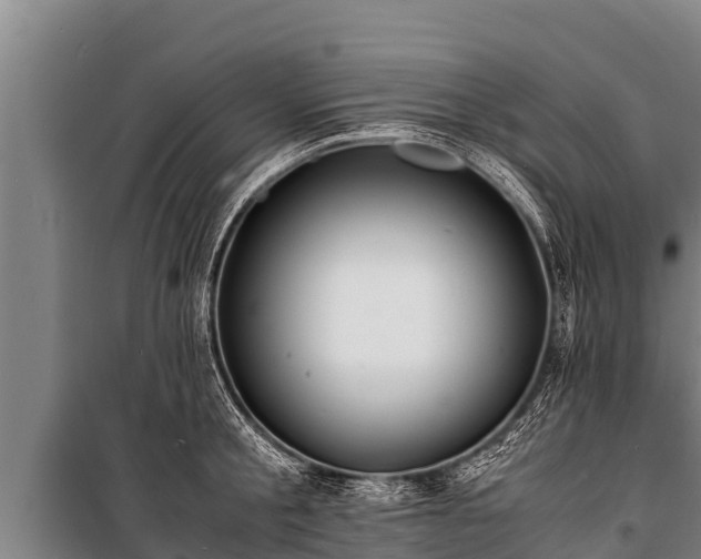 X0000100850805200806271134