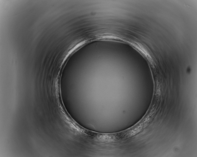 X0000100850806200806271134