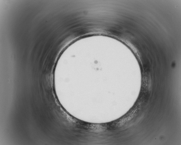 X0000100850807200806271134