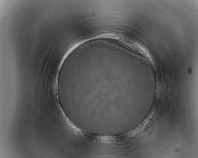 X0000100850808200806271134