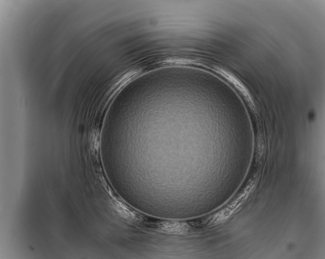 X0000100850809200806271134