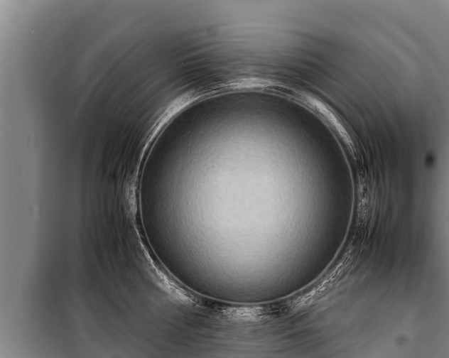 X0000100850810200806271134