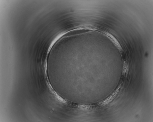 X0000100850812200806271134