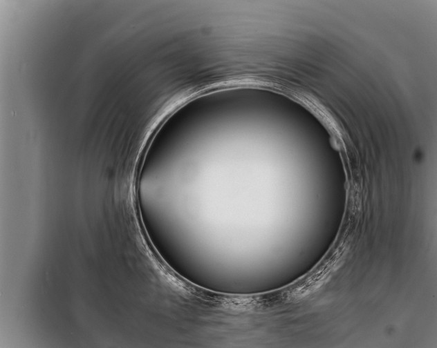 X0000100850813200806271134