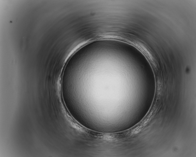 X0000100850814200806271134