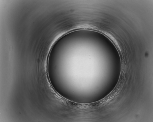 X0000100850815200806271134