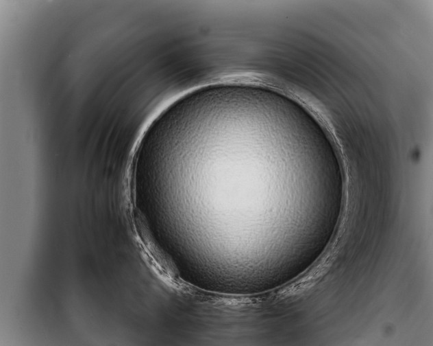 X0000100850816200806271134