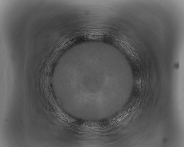 X0000100850817200806271133