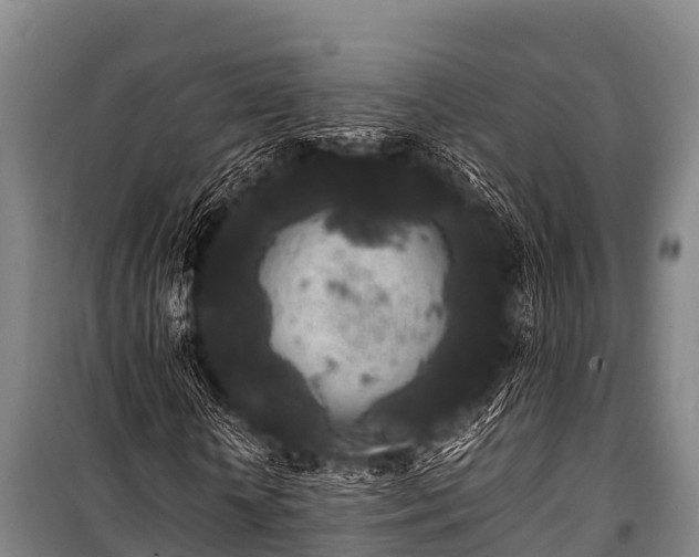 X0000100850818200806271133