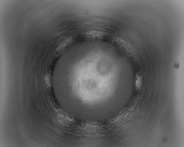 X0000100850819200806271133