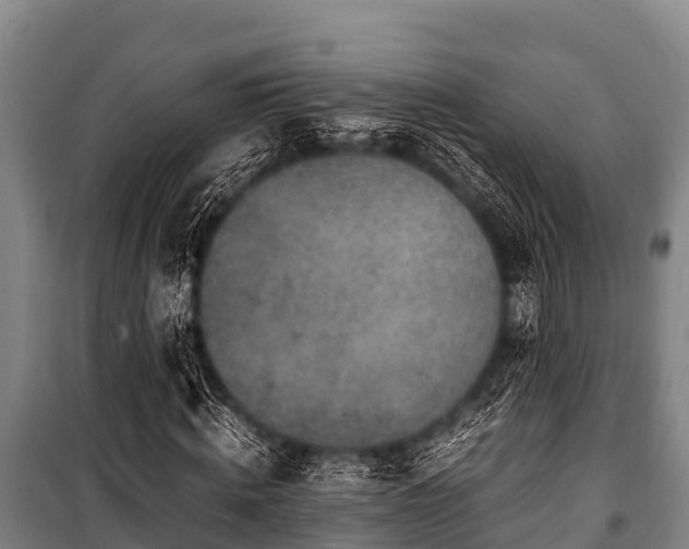 X0000100850820200806271133