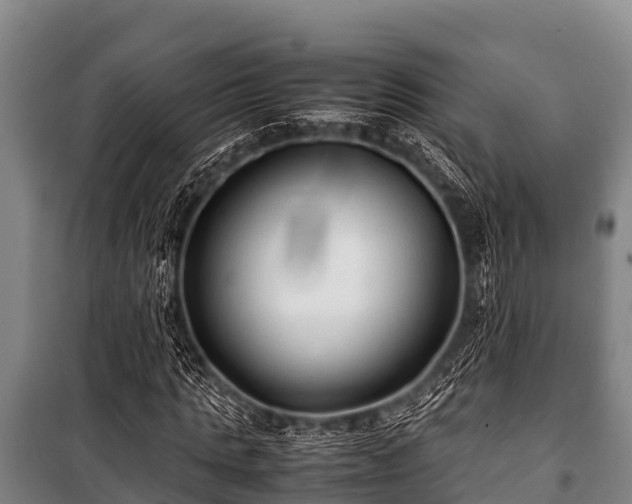 X0000100850821200806271133