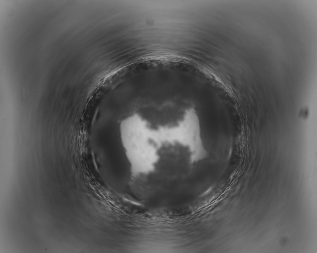 X0000100850822200806271133