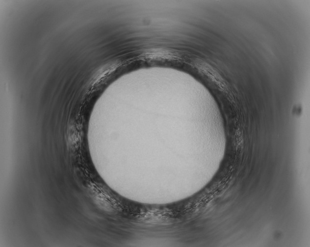 X0000100850824200806271133