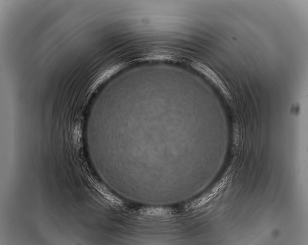 X0000100850826200806271133