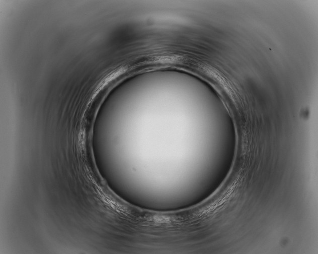 X0000100850827200806271133