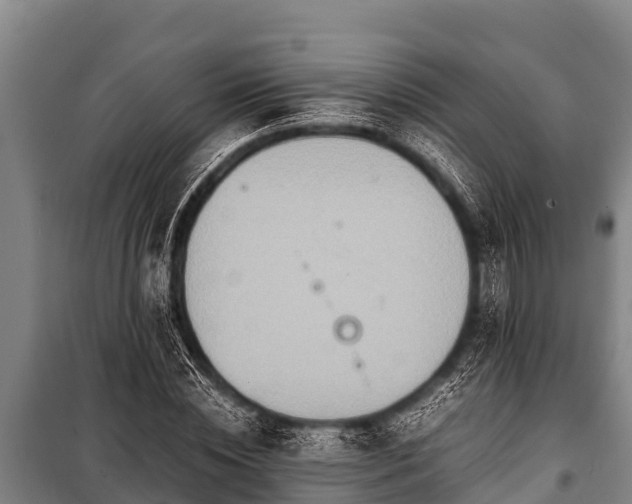 X0000100850828200806271133