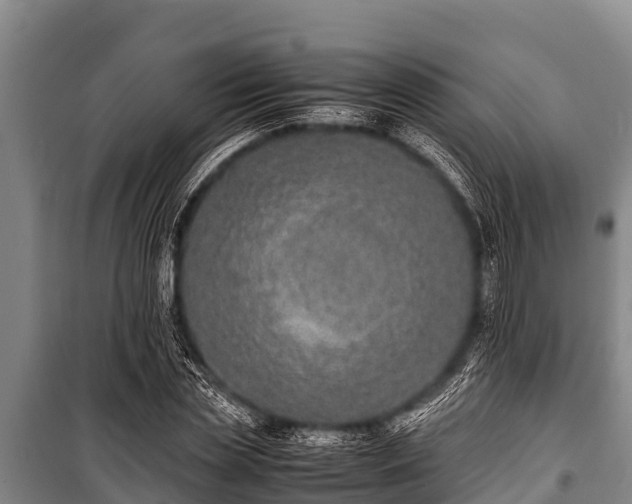 X0000100850829200806271133