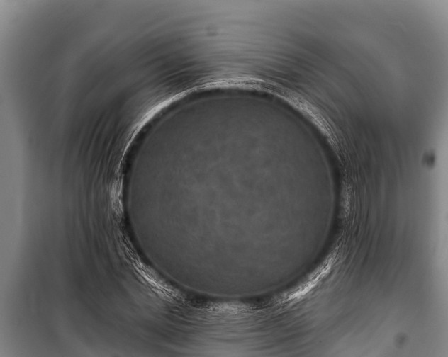 X0000100850830200806271134