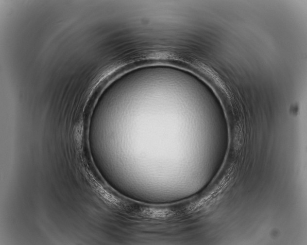 X0000100850831200806271134