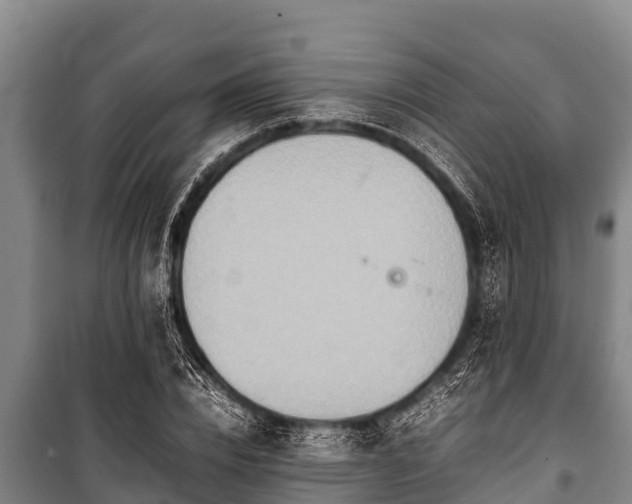 X0000100850832200806271134