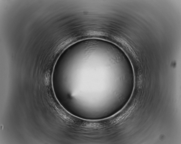 X0000100850833200806271134