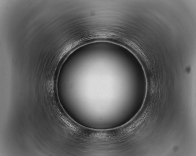 X0000100850834200806271134