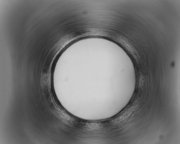 X0000100850836200806271134