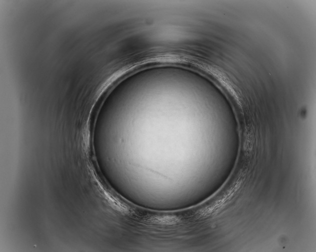 X0000100850837200806271134