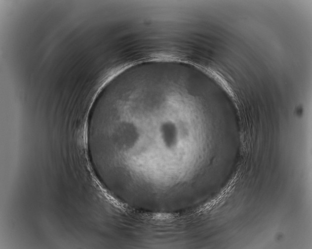 X0000100850839200806271134