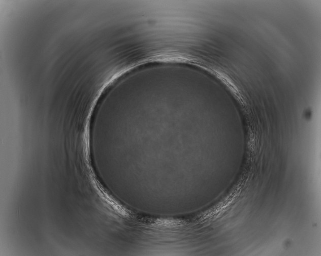 X0000100850840200806271134