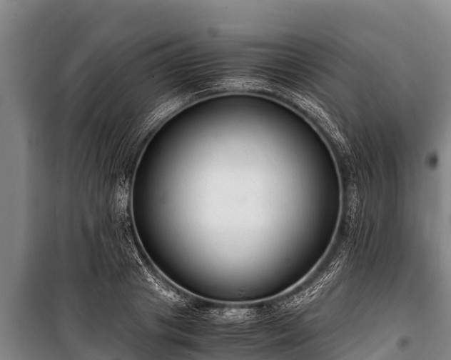 X0000100850841200806271134