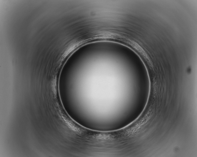 X0000100850842200806271134