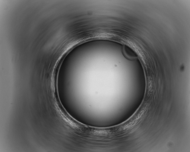 X0000100850843200806271134