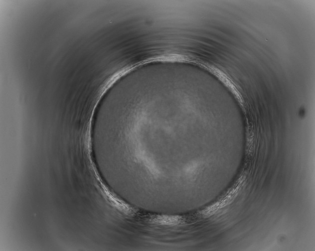 X0000100850845200806271134