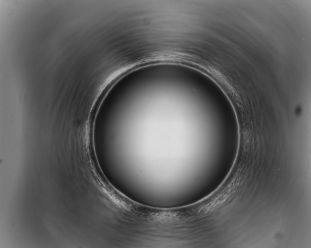 X0000100850846200806271134