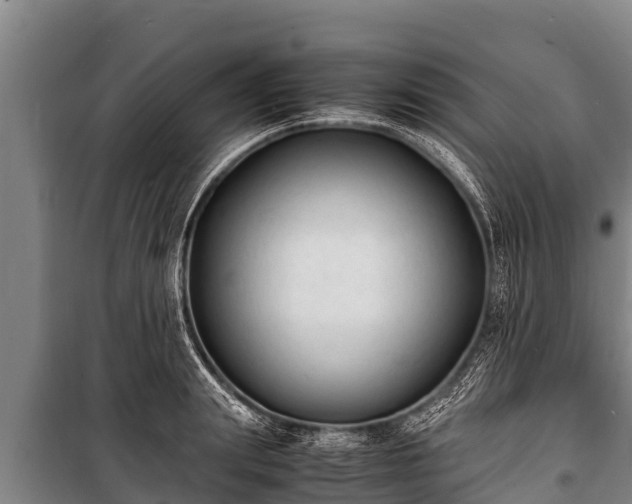 X0000100850847200806271134