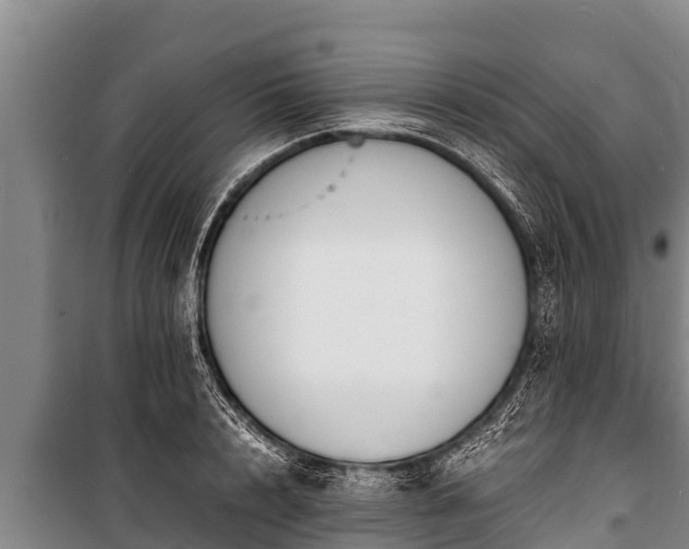 X0000100850848200806271134