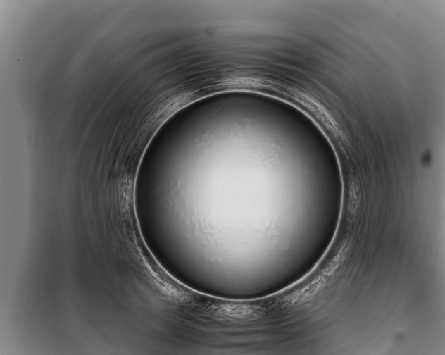 X0000100850849200806271134