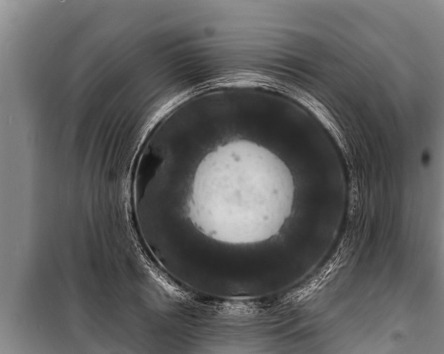 X0000100850850200806271134