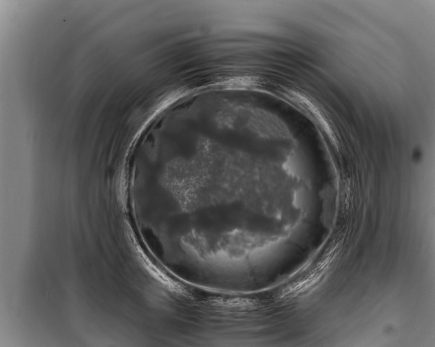 X0000100850851200806271134