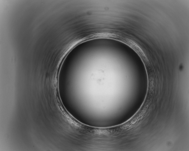 X0000100850852200806271134