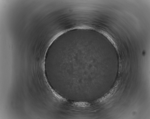 X0000100850853200806271134