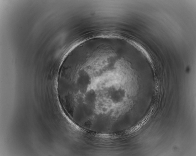 X0000100850855200806271134