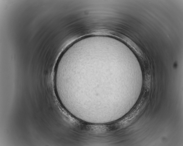 X0000100850856200806271134