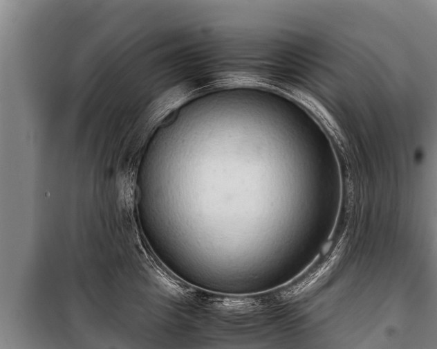 X0000100850857200806271134