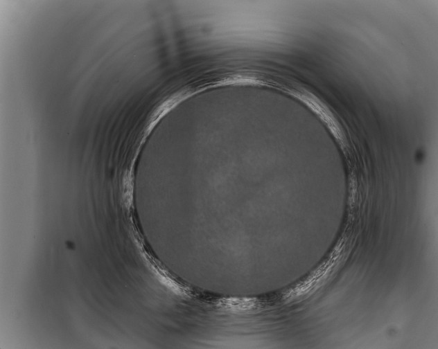 X0000100850858200806271134