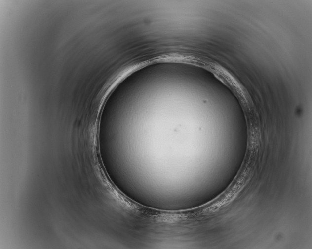 X0000100850860200806271134